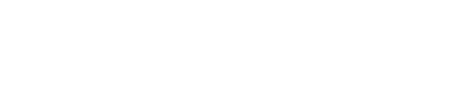Digital Solutions Tasmania
